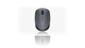 עכבר אלחוטי | LOGITECH | M171 | שחור
